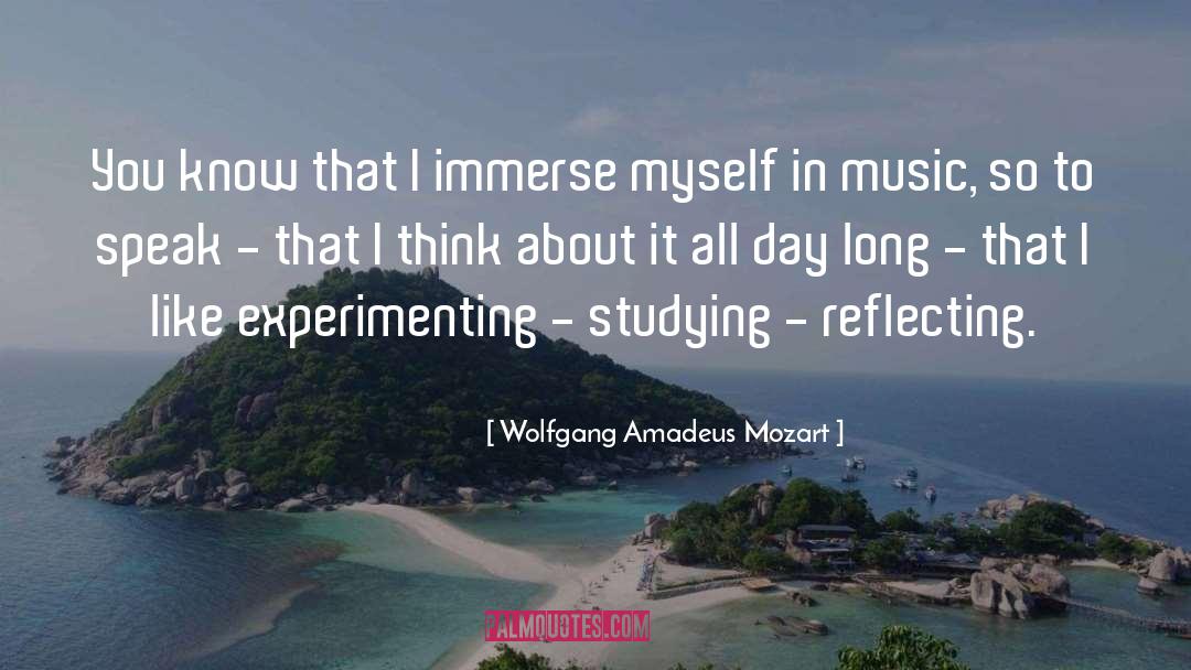 Wolfgang Amadeus Mozart Quotes: You know that I immerse