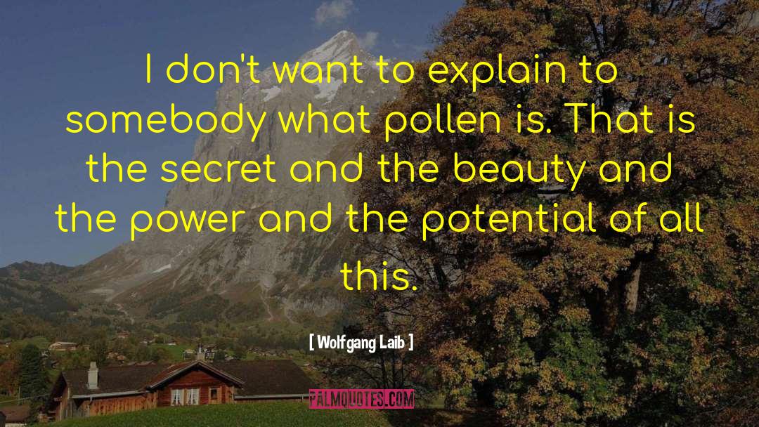 Wolfgang Laib Quotes: I don't want to explain