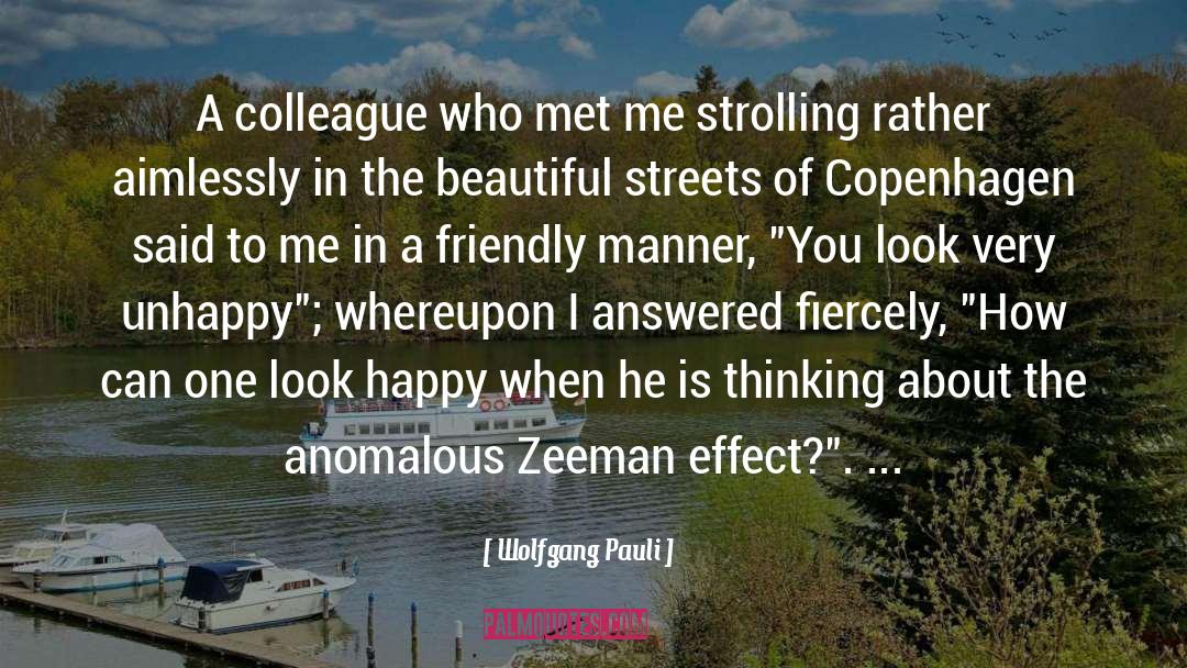 Wolfgang Pauli Quotes: A colleague who met me