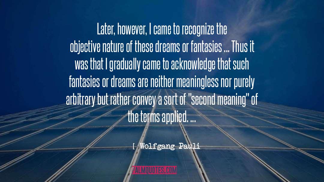 Wolfgang Pauli Quotes: Later, however, I came to