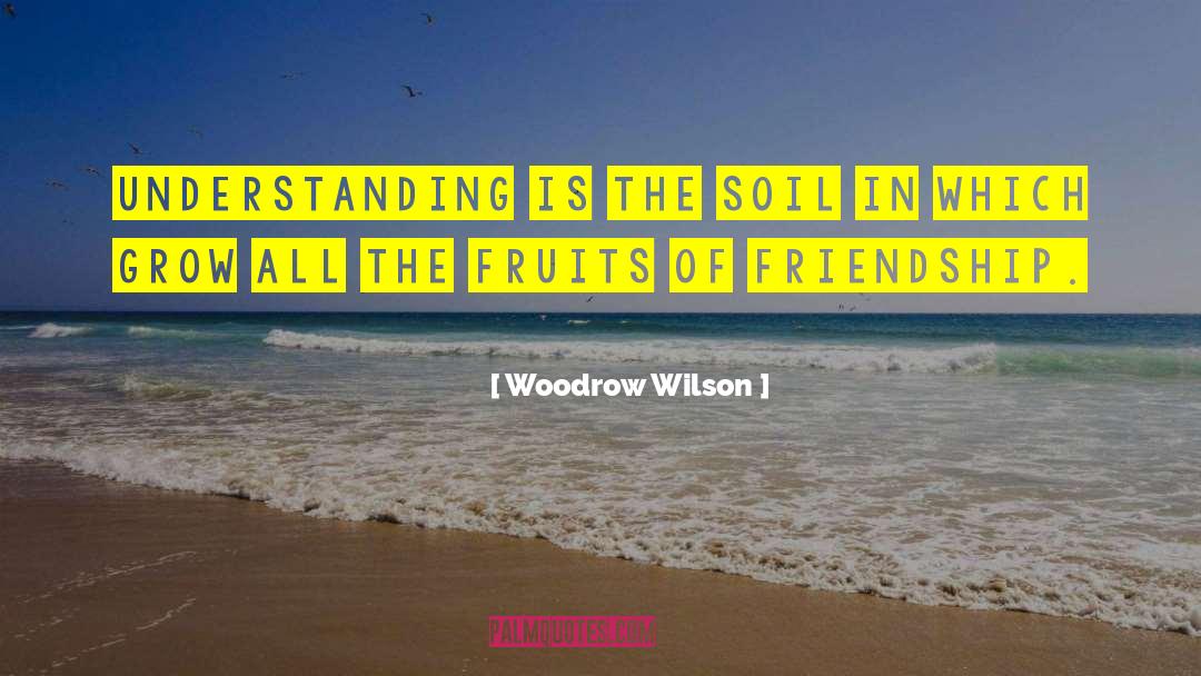 Woodrow Wilson Quotes: Understanding is the soil in