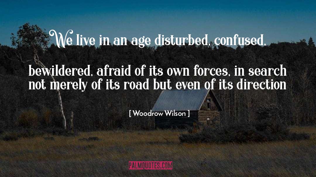 Woodrow Wilson Quotes: We live in an age