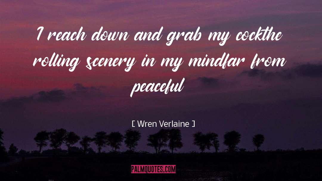 Wren Verlaine Quotes: I reach down and grab