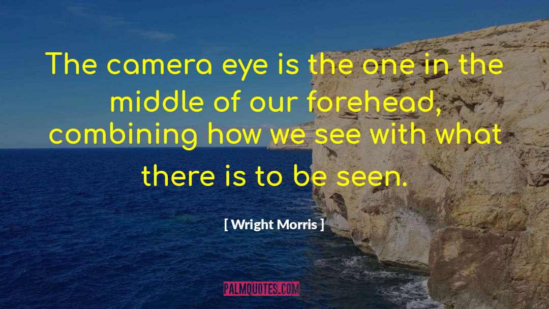 Wright Morris Quotes: The camera eye is the