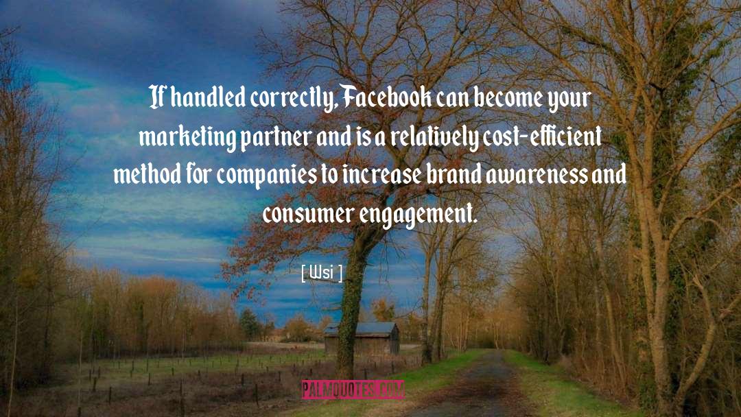 Wsi Quotes: If handled correctly, Facebook can