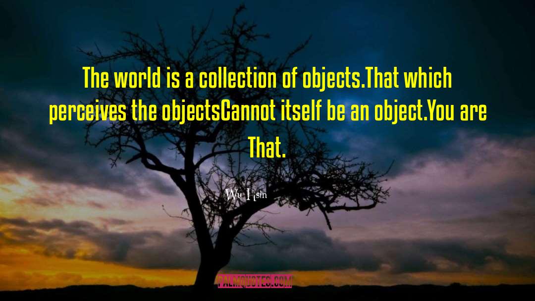 Wu Hsin Quotes: The world is a collection