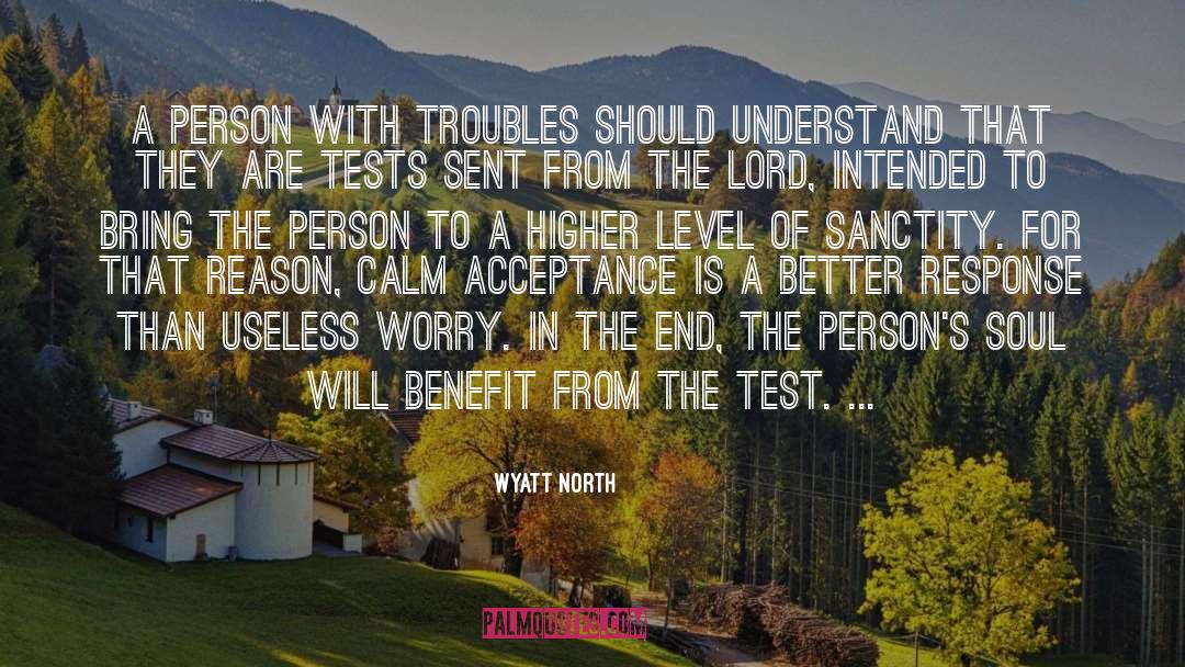 Wyatt North Quotes: A person with troubles should