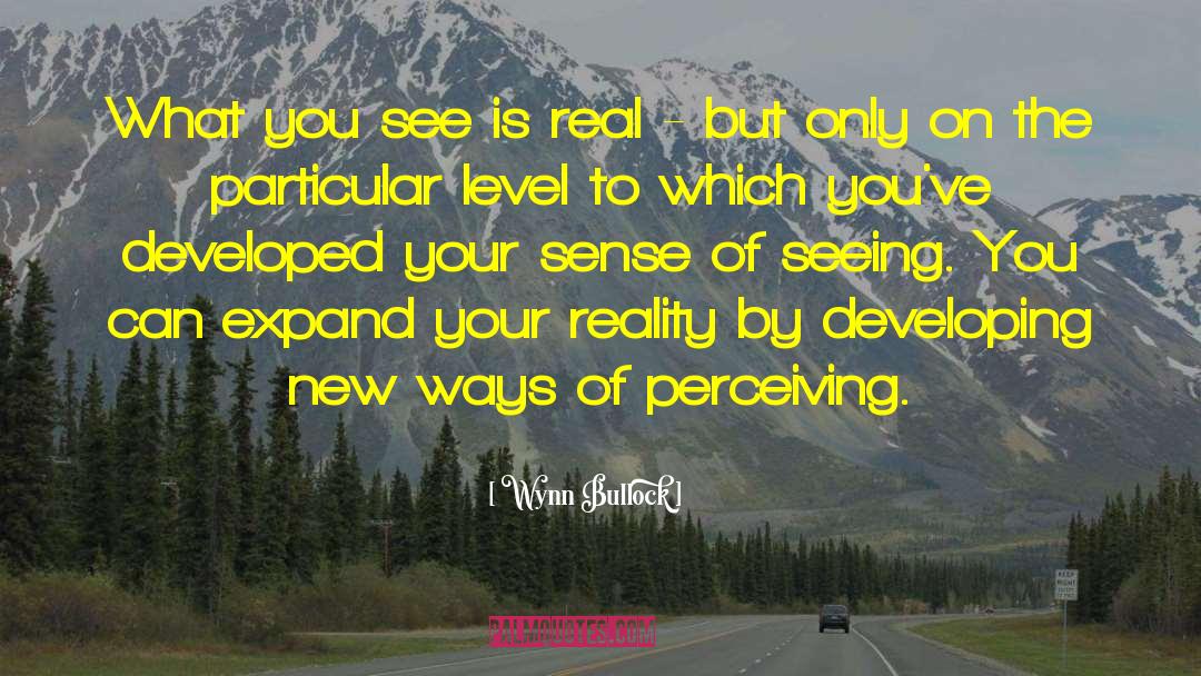 Wynn Bullock Quotes: What you see is real