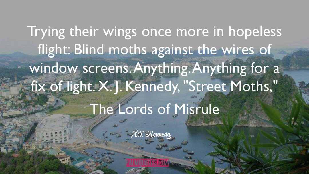 X.J. Kennedy Quotes: Trying their wings once more
