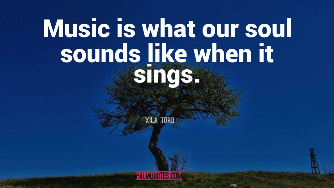 Xila Toro Quotes: Music is what our soul