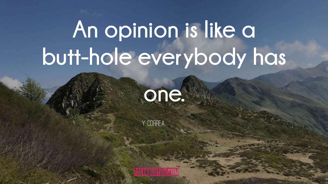 Y. Correa Quotes: An opinion is like a