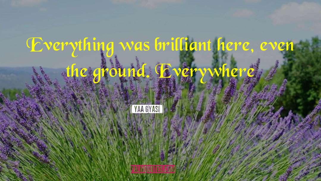 Yaa Gyasi Quotes: Everything was brilliant here, even