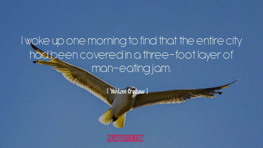 Yahtzee Croshaw Quotes: I woke up one morning