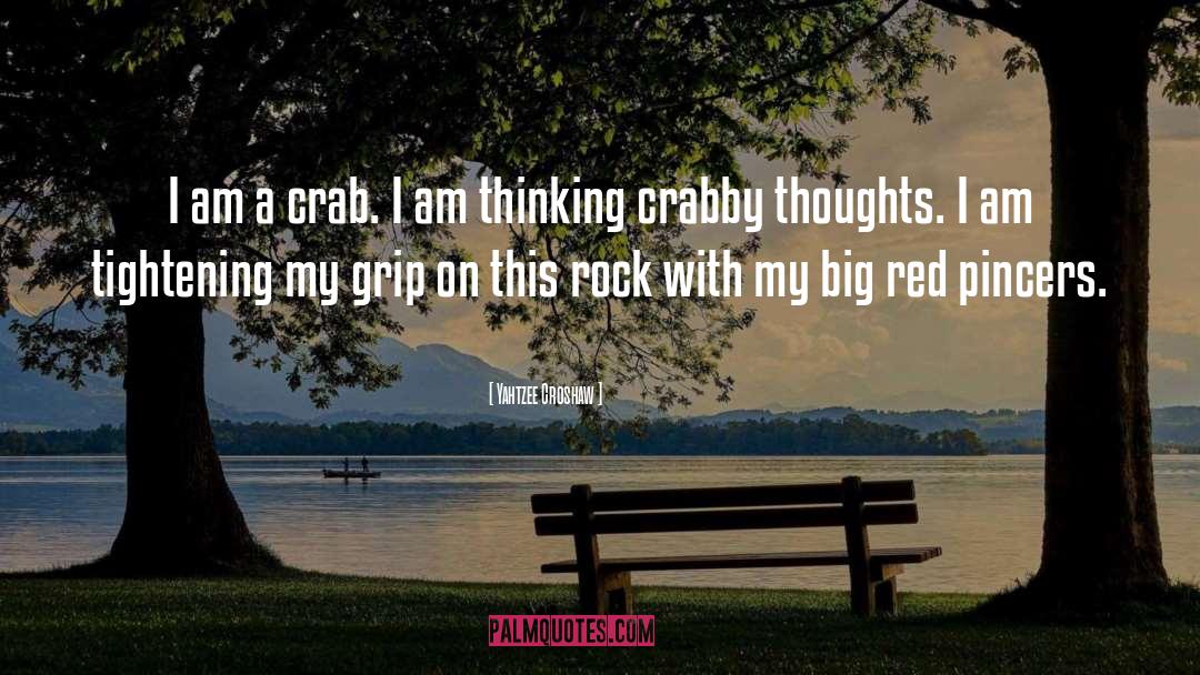 Yahtzee Croshaw Quotes: I am a crab. I