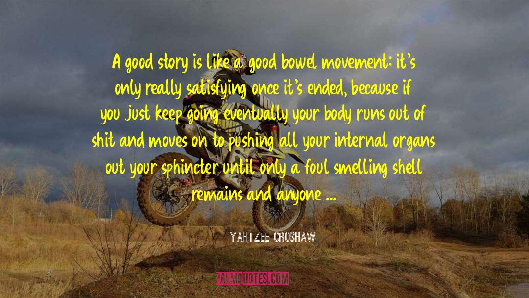 Yahtzee Croshaw Quotes: A good story is like