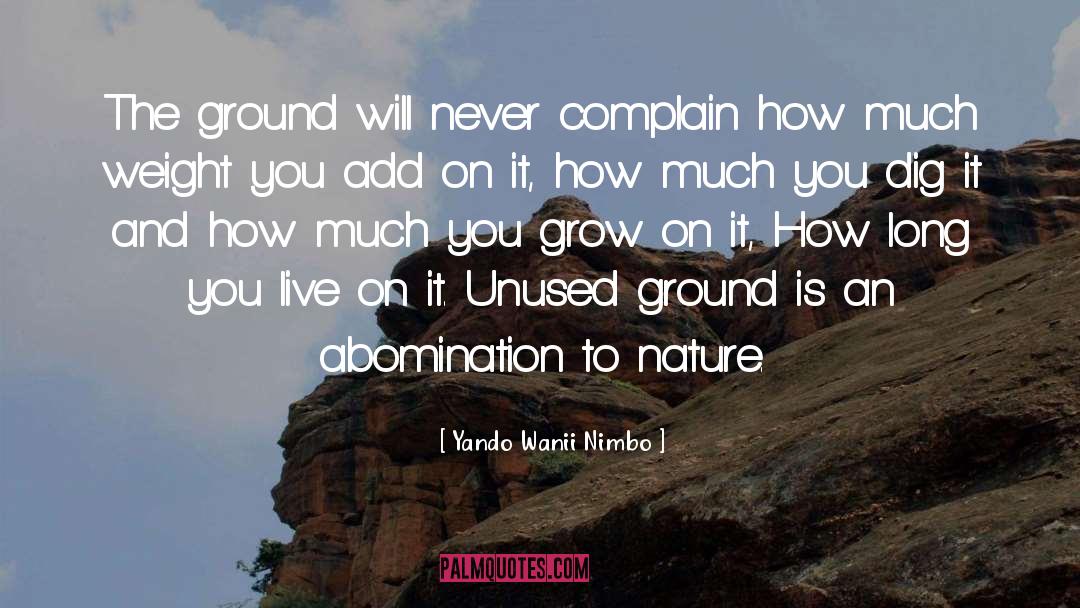 Yando Wanii Nimbo Quotes: The ground will never complain