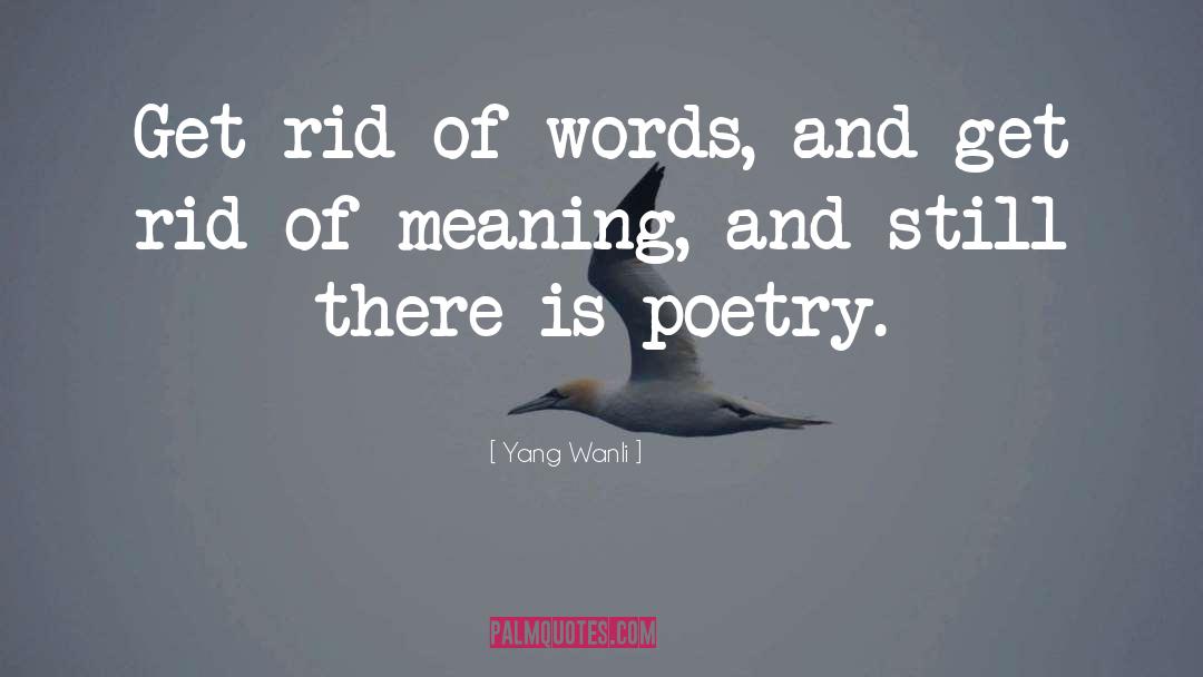 Yang Wanli Quotes: Get rid of words, and