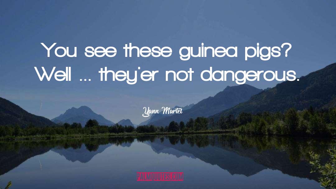 Yann Martel Quotes: You see these guinea pigs?