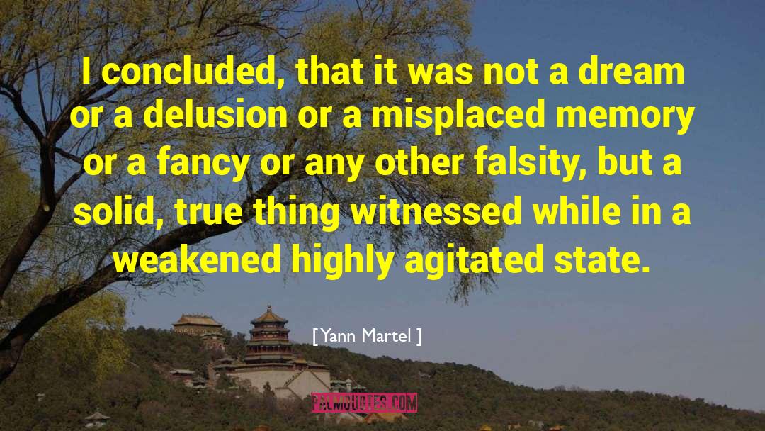 Yann Martel Quotes: I concluded, that it was