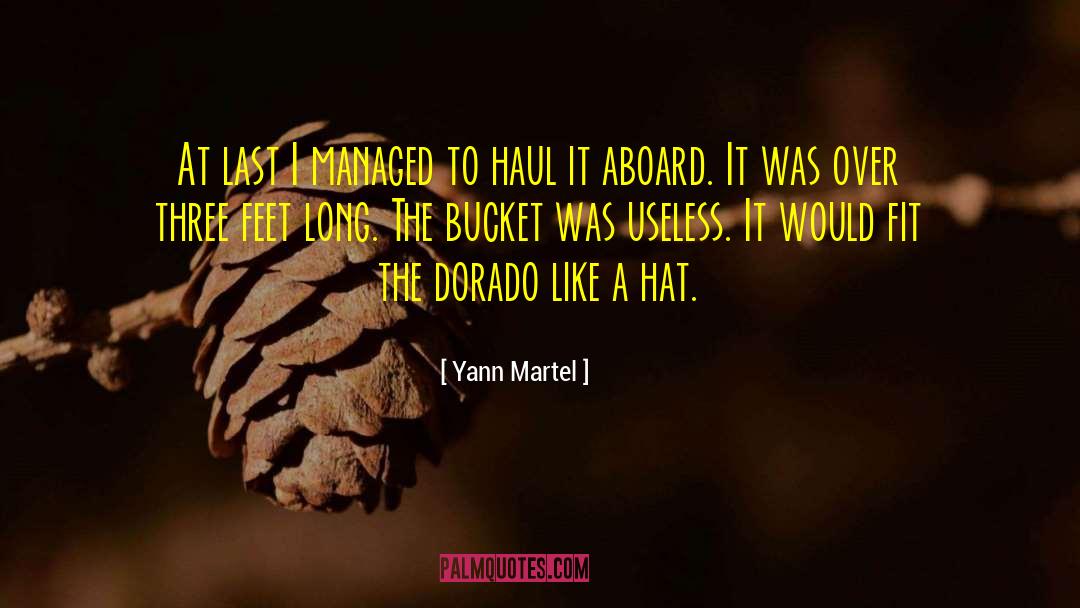 Yann Martel Quotes: At last I managed to