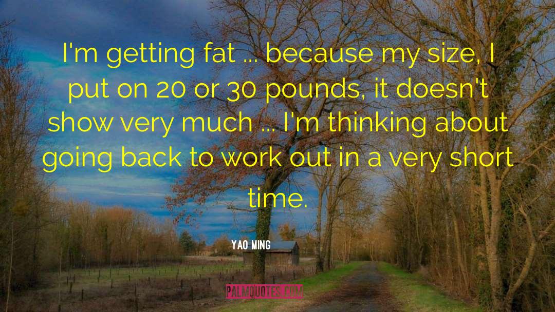 Yao Ming Quotes: I'm getting fat ... because