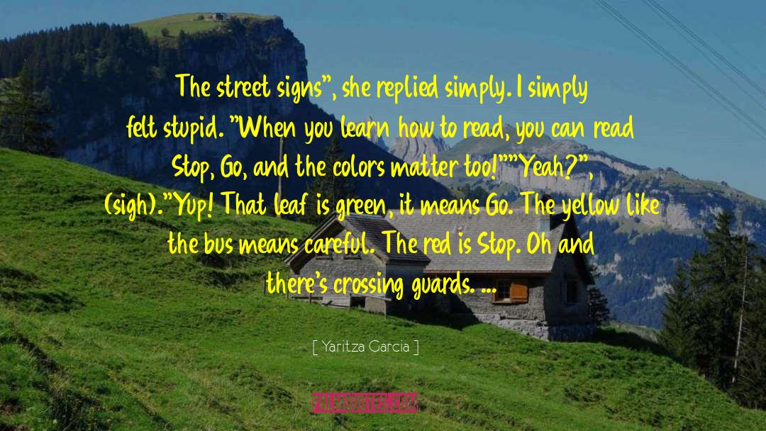 Yaritza Garcia Quotes: The street signs