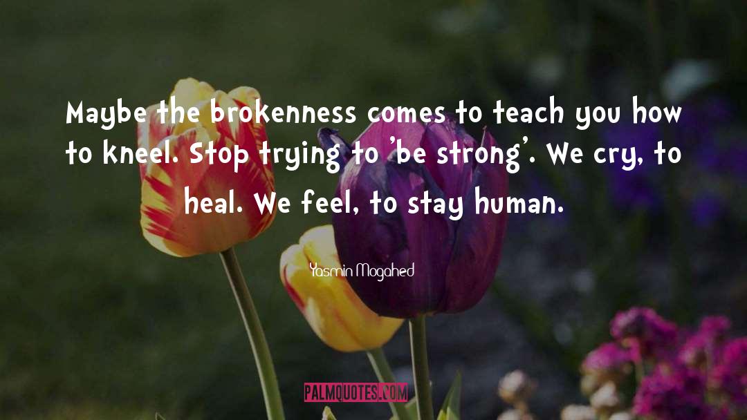 Yasmin Mogahed Quotes: Maybe the brokenness comes to