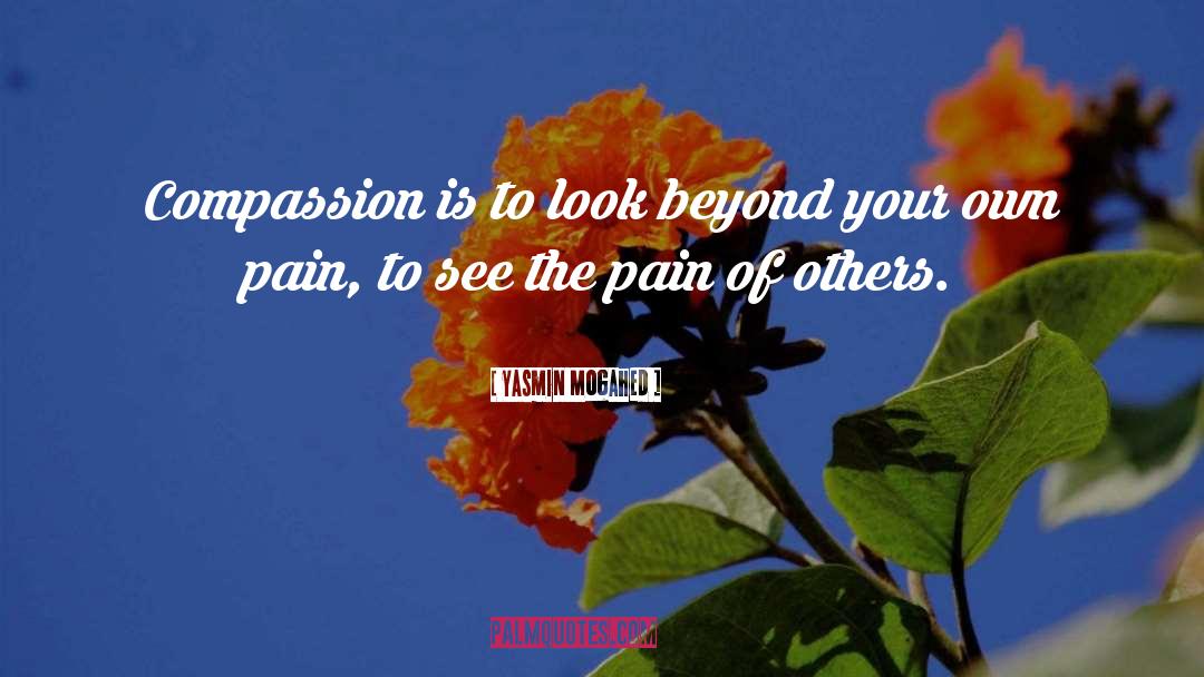 Yasmin Mogahed Quotes: Compassion is to look beyond