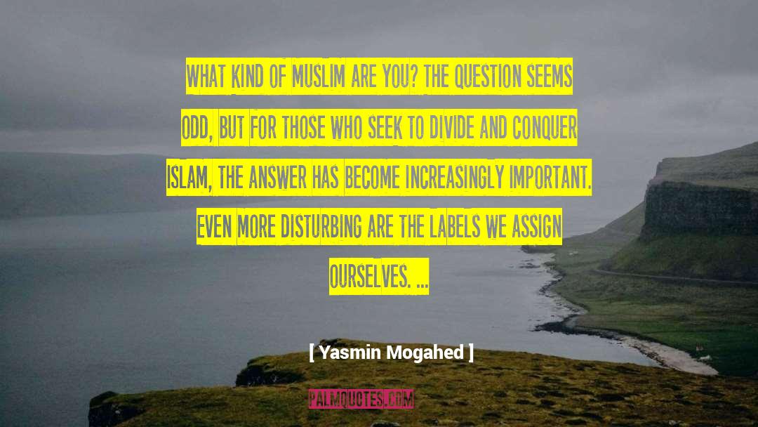 Yasmin Mogahed Quotes: What kind of Muslim are