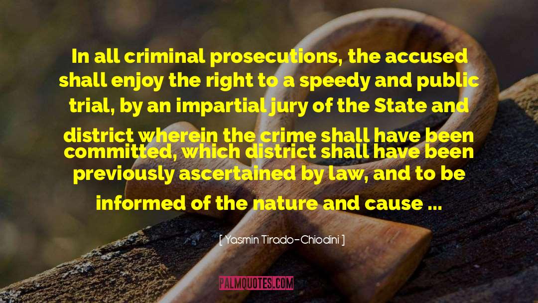 Yasmin Tirado-Chiodini Quotes: In all criminal prosecutions, the