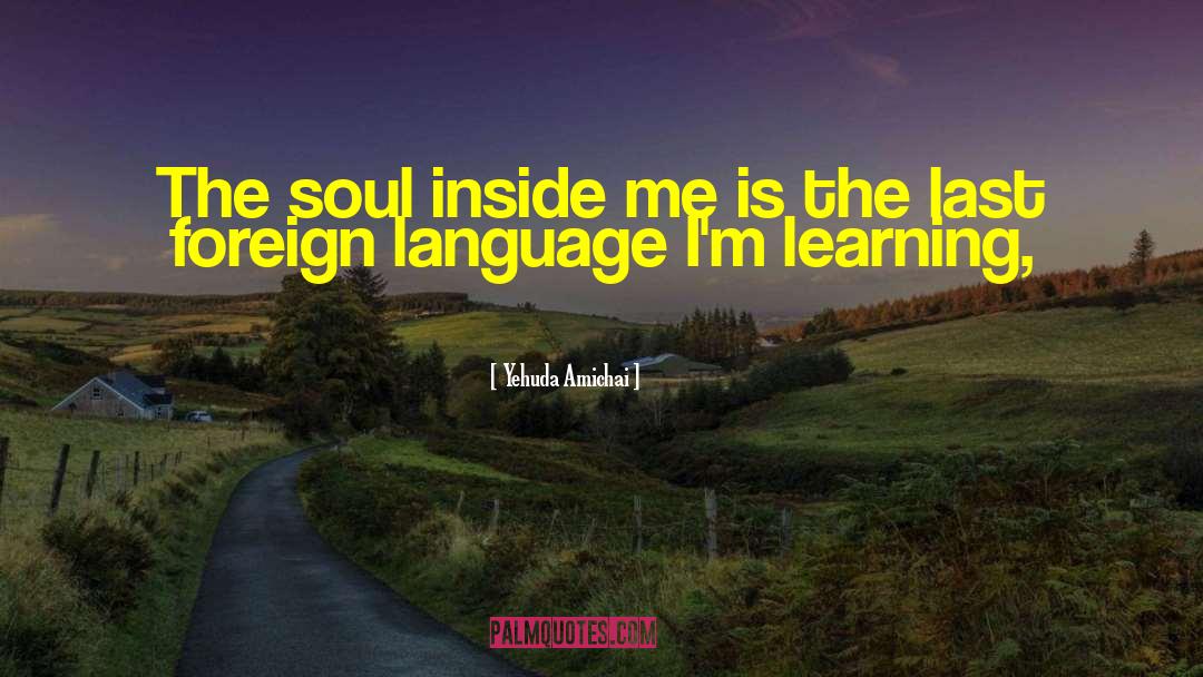 Yehuda Amichai Quotes: The soul inside me is