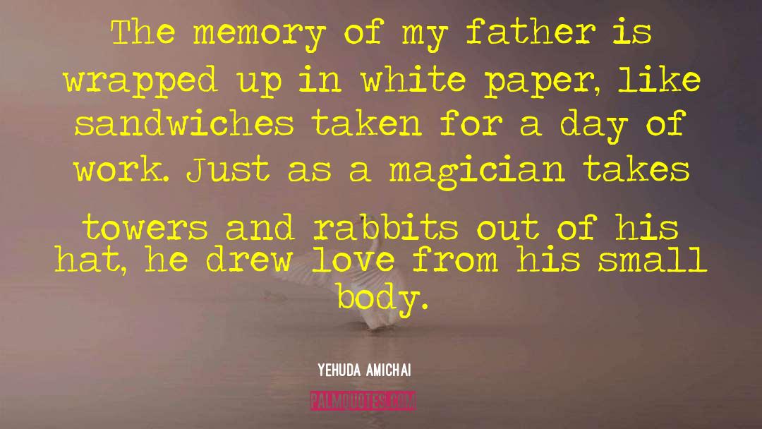 Yehuda Amichai Quotes: The memory of my father