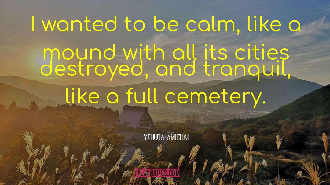 Yehuda Amichai Quotes: I wanted to be calm,