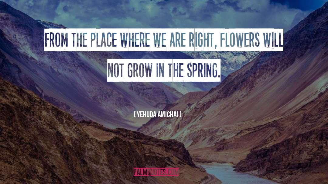 Yehuda Amichai Quotes: From the place where we