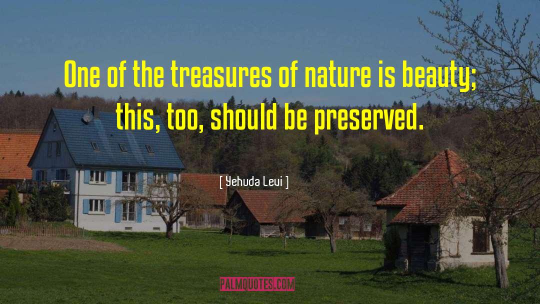 Yehuda Levi Quotes: One of the treasures of