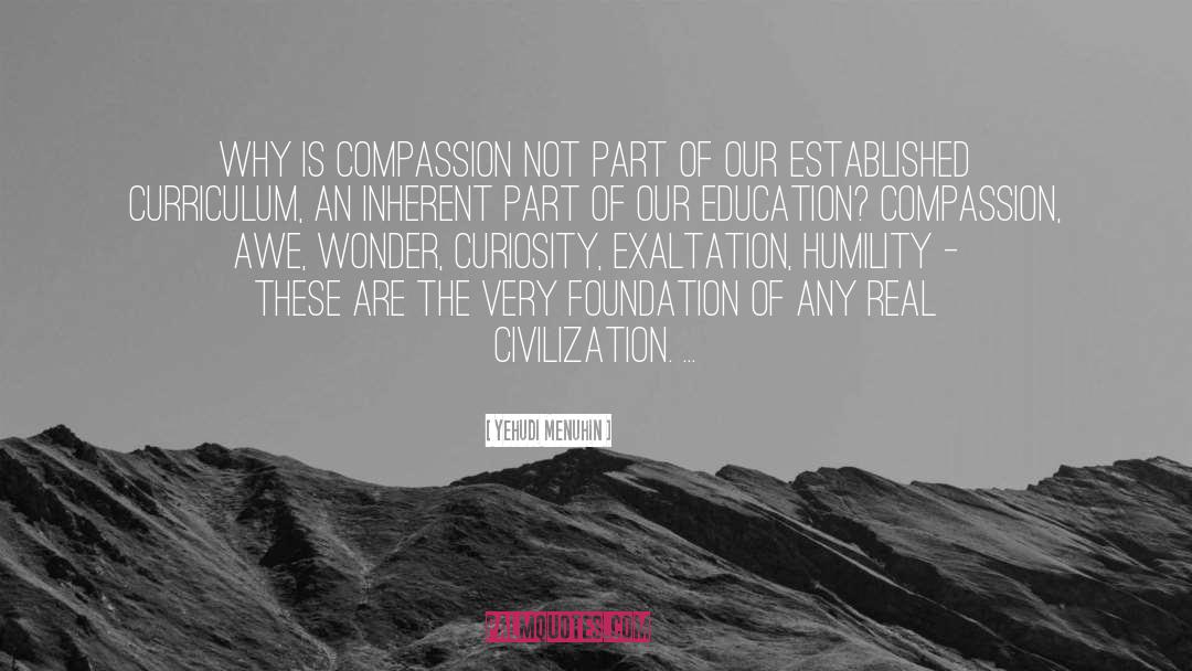 Yehudi Menuhin Quotes: Why is compassion not part