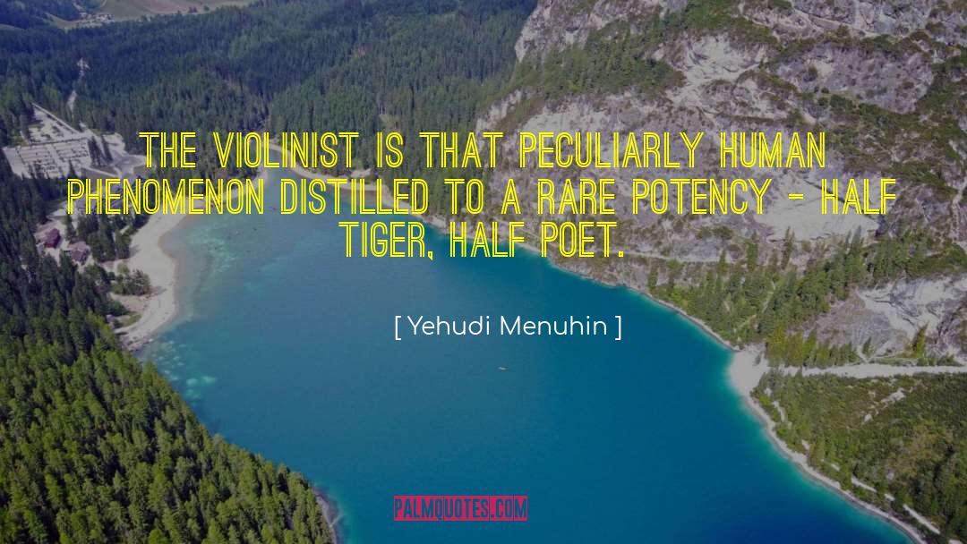 Yehudi Menuhin Quotes: The violinist is that peculiarly