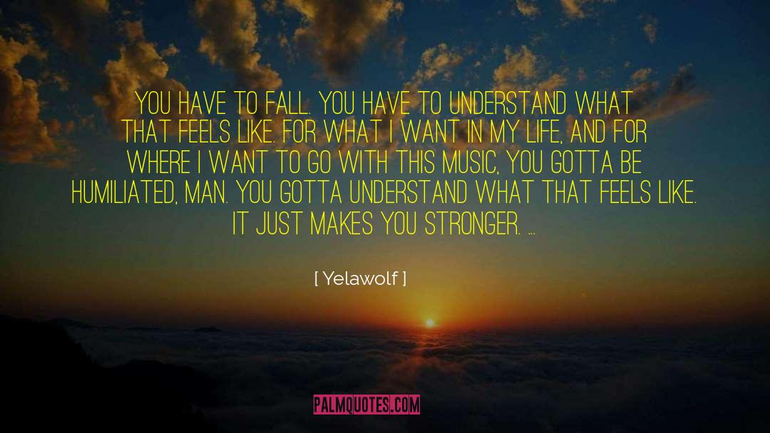 Yelawolf Quotes: You have to fall. You