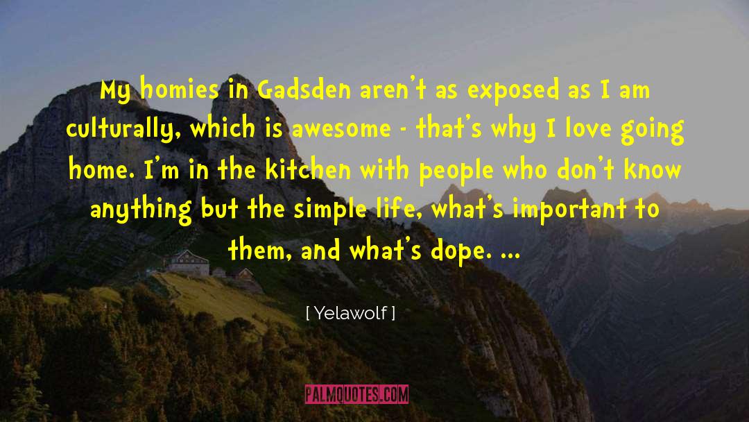 Yelawolf Quotes: My homies in Gadsden aren't