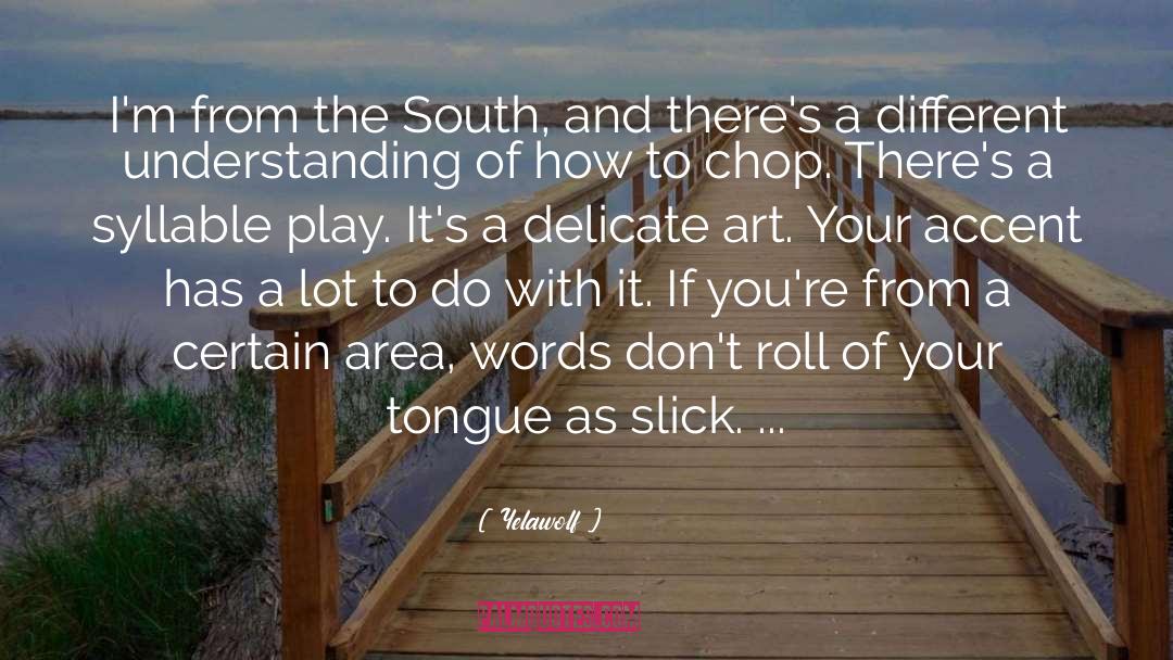 Yelawolf Quotes: I'm from the South, and