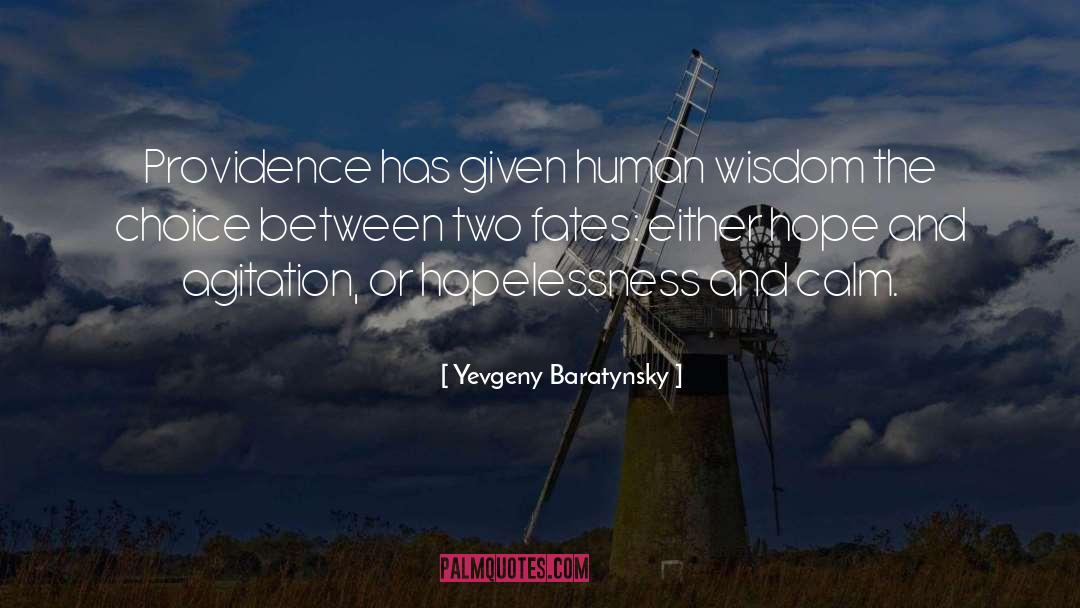 Yevgeny Baratynsky Quotes: Providence has given human wisdom