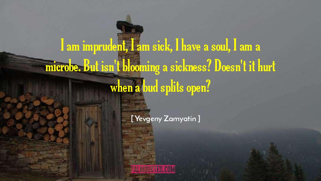 Yevgeny Zamyatin Quotes: I am imprudent, I am