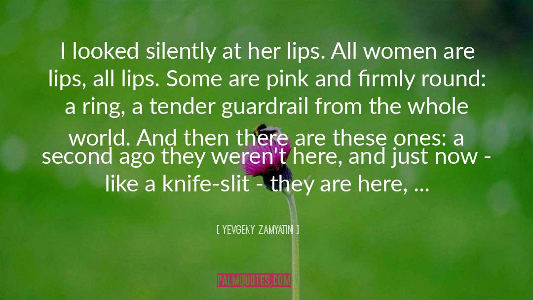 Yevgeny Zamyatin Quotes: I looked silently at her