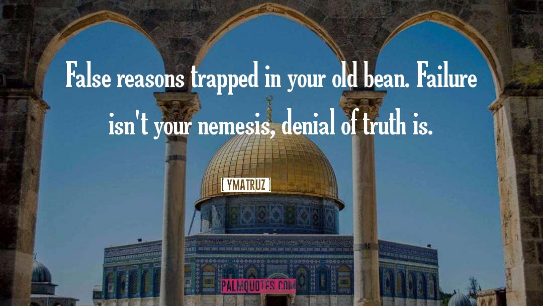 Ymatruz Quotes: False reasons trapped in your