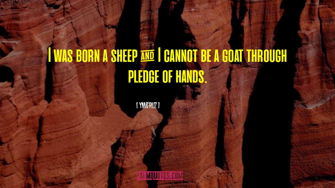 Ymatruz Quotes: I was born a sheep