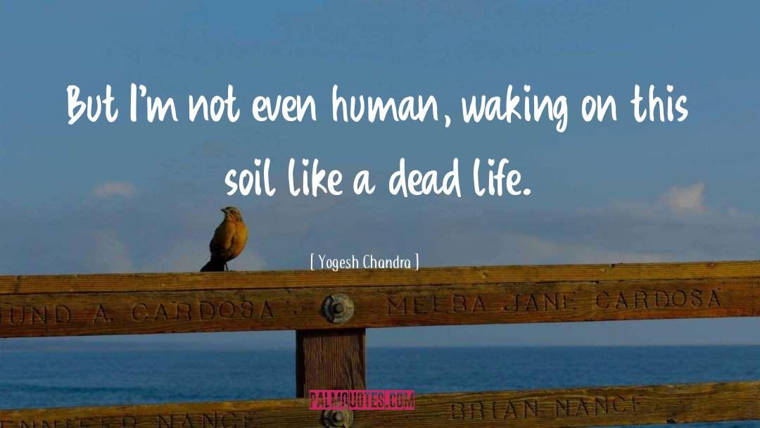 Yogesh Chandra Quotes: But I'm not even human,