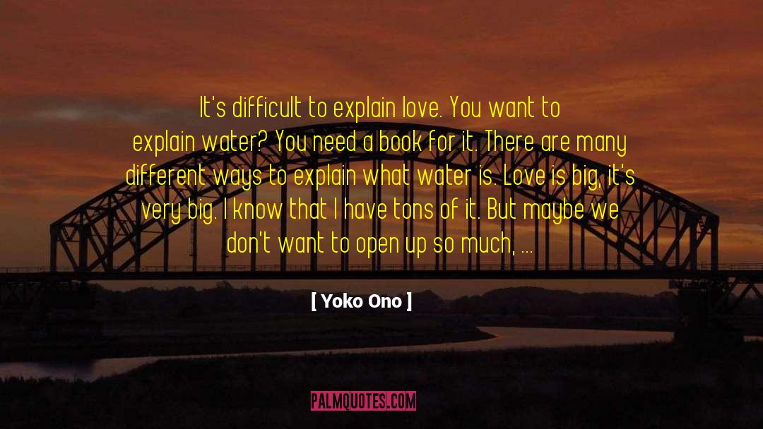 Yoko Ono Quotes: It's difficult to explain love.