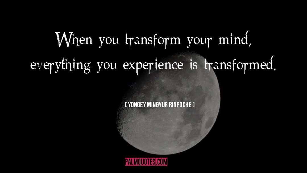 Yongey Mingyur Rinpoche Quotes: When you transform your mind,