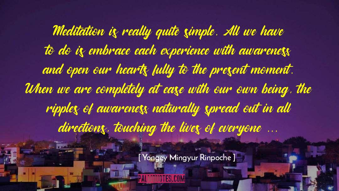 Yongey Mingyur Rinpoche Quotes: Meditation is really quite simple.