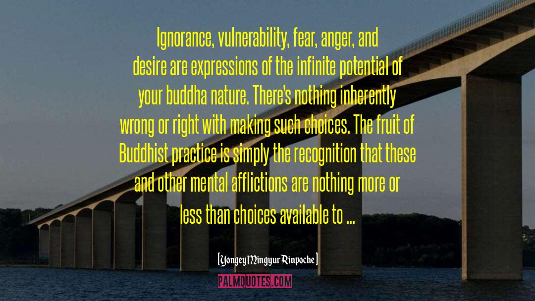 Yongey Mingyur Rinpoche Quotes: Ignorance, vulnerability, fear, anger, and